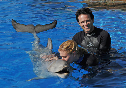 Photos of Anna Paquin and Steven Moyer at Sea World in San Diego Photos of Anna Paquin and Steven Moyer at Sea World in San Diego