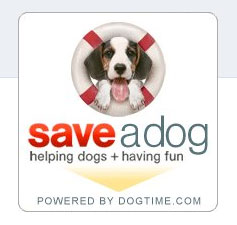 Use Facebook to Help Feed Needy Dogs in Shelters