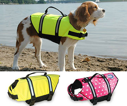 Paws Aboard Doggy Lifejacket Paws Aboard Doggy Lifejacket