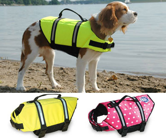 Paws Aboard Doggy Lifejacket