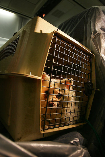 4. Check the Crate 4. Check the Crate