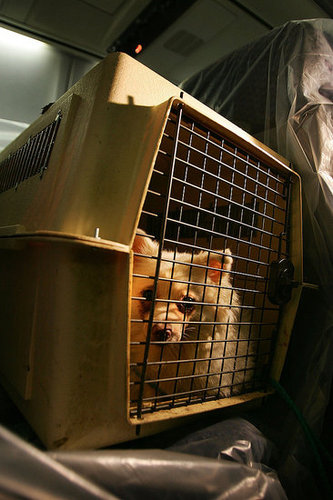 4. Check the Crate 4. Check the Crate
