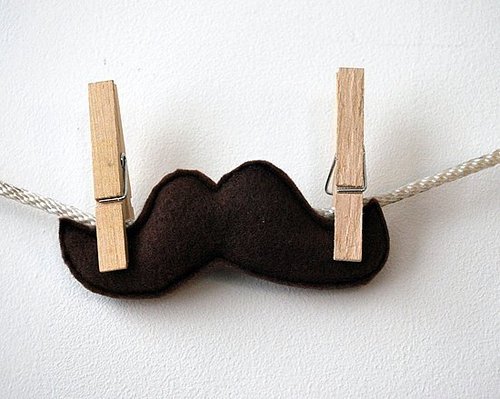 Catnip Mustaches Catnip Mustaches