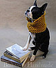 New Product Alert! Beantown Handmade Neck Warmers