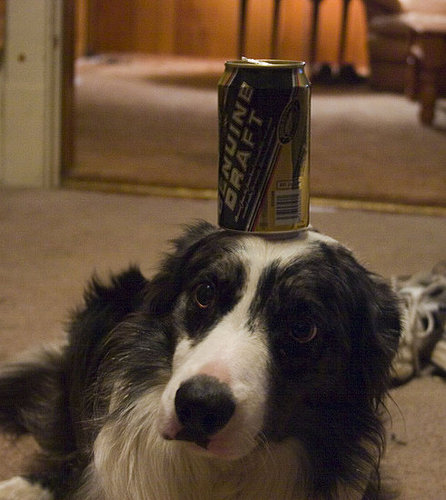 Balancing Act Balancing Act