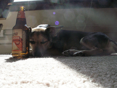 After a Long, Hot Day After a Long, Hot Day