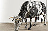 Photos of Found Object Animals
