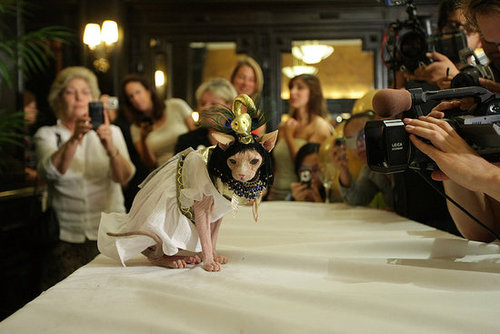 Egyptian Princess Egyptian Princess