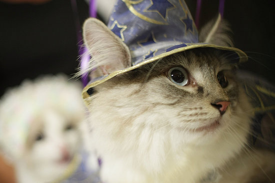 Merlin Makes Magic Merlin Makes Magic