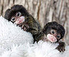 Orphans Lara and Lucy Get Hands-On Love