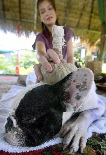 Herbal Treatment Herbal Treatment