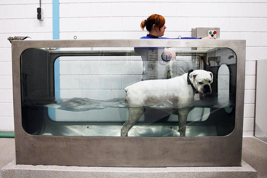 Hydrotherapy