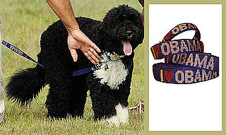 Found! Bo Obama's Collar and Leash Set