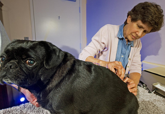 Acupuncture