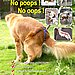 "No Poops! No Oops!"