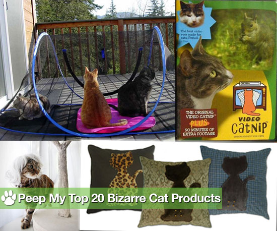 Is Your Kitty's Life Complete Without These Kooky Products? Is Your Kitty's Life Complete Without These Kooky Products?