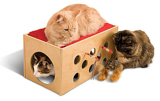 Kitty Bunkbed and Playroom Kitty Bunkbed and Playroom