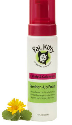 Freshen-Up Foam Freshen-Up Foam