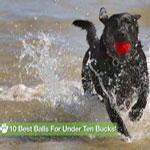 10 Best Balls For Under Ten Bucks! 10 Best Balls For Under Ten Bucks!