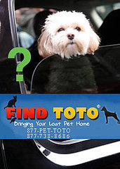 How "FindToto" Works . . . and Will It Work For Jess? How "FindToto" Works . . . and Will It Work For Jess?