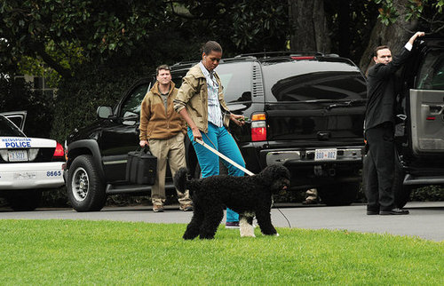 Michelle Obama Walking Bo on the South Lawn Michelle Obama Walking Bo on the South Lawn