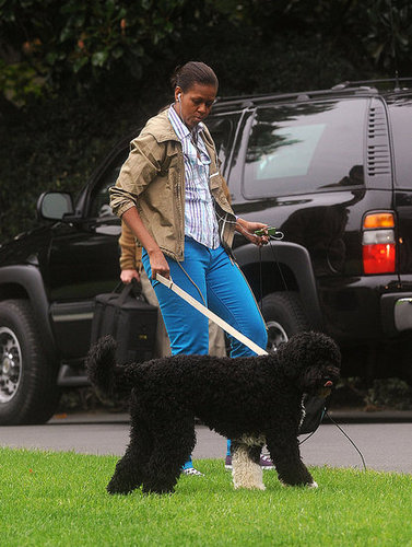 Michelle Obama Walking Bo on the South Lawn Michelle Obama Walking Bo on the South Lawn