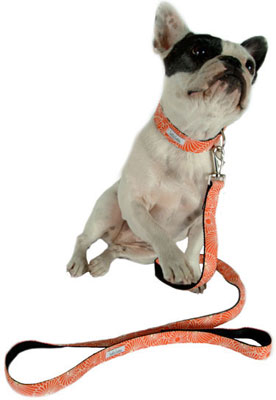 New Product Alert! New Autumn Designs From Bella Bean 