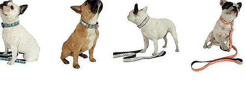 New Product Alert! Four New Fall '09 Collar Designs From Bella Bean 