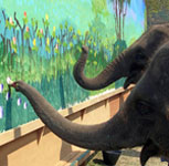 Wild Art: 8 Crafty Animals That Can Paint Wild Art: 8 Crafty Animals That Can Paint