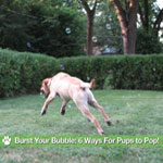 Bubble Blowers For All Play Styles and Spaces Bubble Blowers For All Play Styles and Spaces