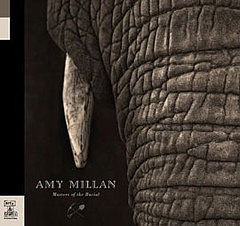 Listen Up: Amy Millan's "I Will Follow You Into the Dark" Cover 