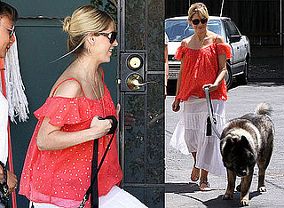 Photos of Pregnant Sarah Michelle Gellar Bringing Her Dog to the Vet