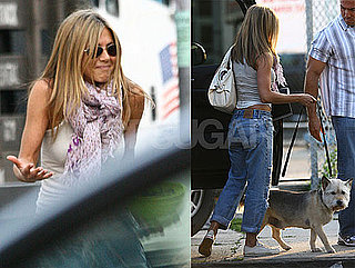 Photos of Jennifer Aniston on The NYC Set of The Bounty With Her Dog Norman
