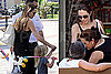 Photos of Angelina and Shiloh
