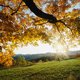 356UIK's picture