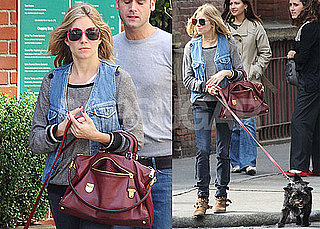 Photos of Sienna Miller Walking Her Dog in NYC 2009-09-29 02:00:00