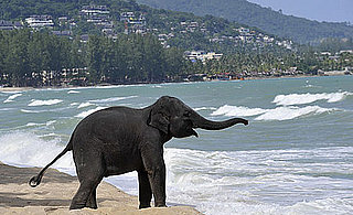 Thailand Free Vacation Video Contest