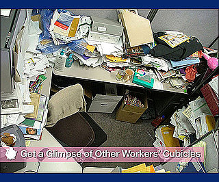 Get a Glimpse of Other Workers' Cubicles