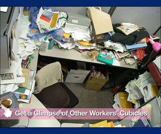 Get a Glimpse of Other Workers' Cubicles