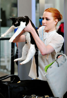 Evan Rachel Wood Travels With Her Cat and Laptop