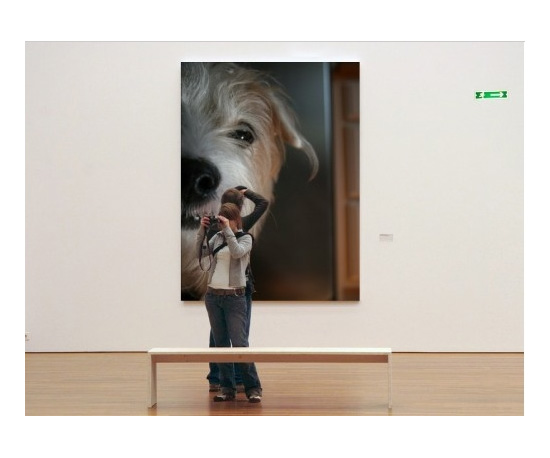 Dumpr