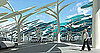 Concept Solar Forest Charges Your Electric Cars