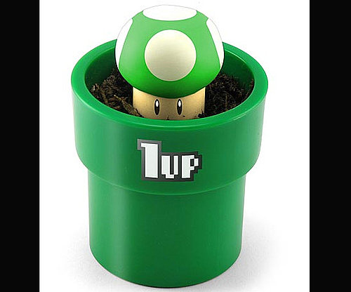 Grow Your Own 1-Up Mushroom Grow Your Own 1-Up Mushroom