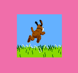 Video Game Identification Quiz
