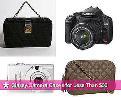 Classy Camera Cases For Less Than $30