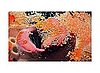 Photographer Marilyn Minter's Short Film For Madonna