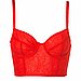 Topshop Crop Top Paisley Lace Bra 