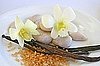 I Love Your ShopStyle: Soft Vanilla 