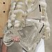 Derek Lam