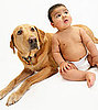 Dogs Understand Same Cues as Children